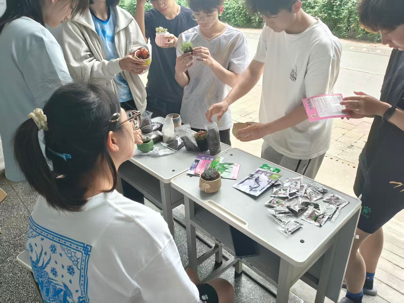 太阳集团
