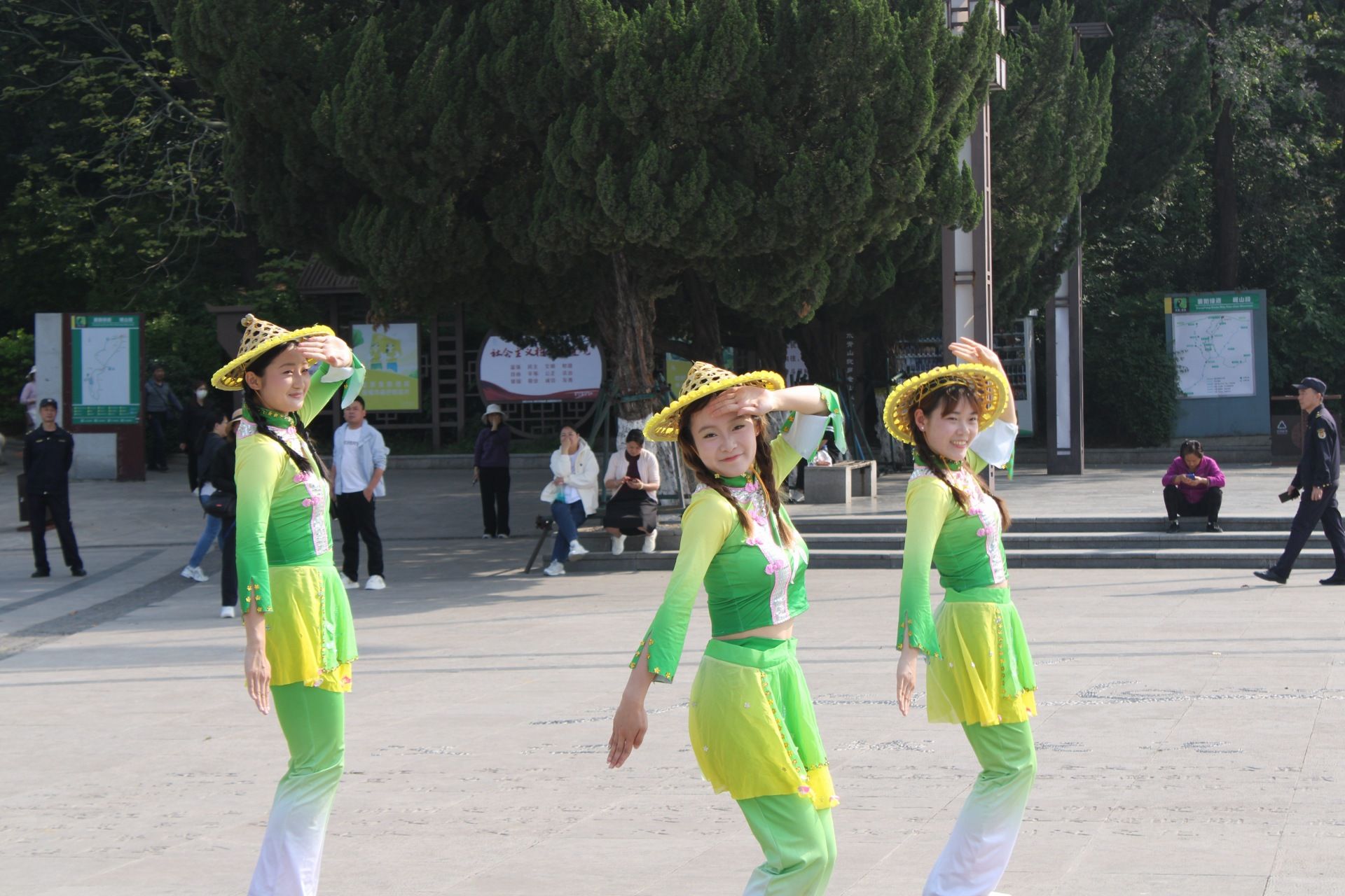 太阳集团
