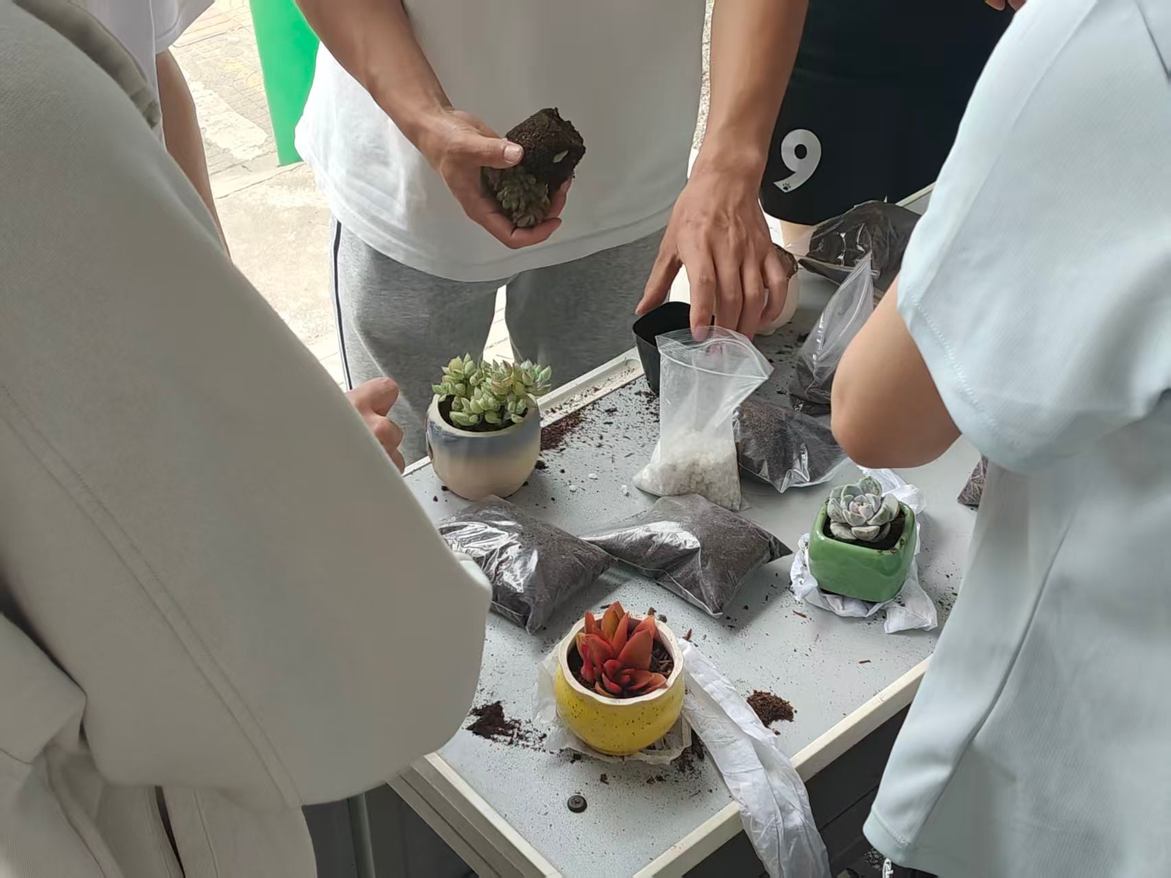 太阳集团