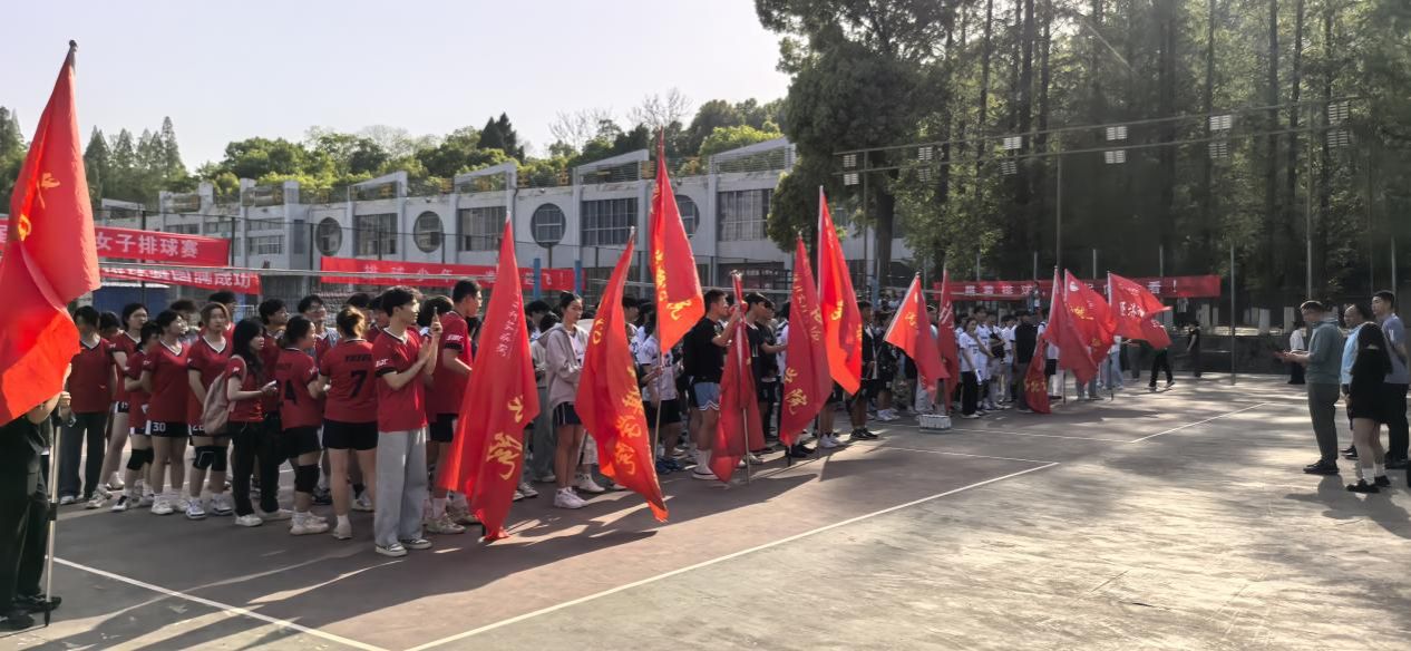 太阳集团